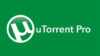 utorrent pro